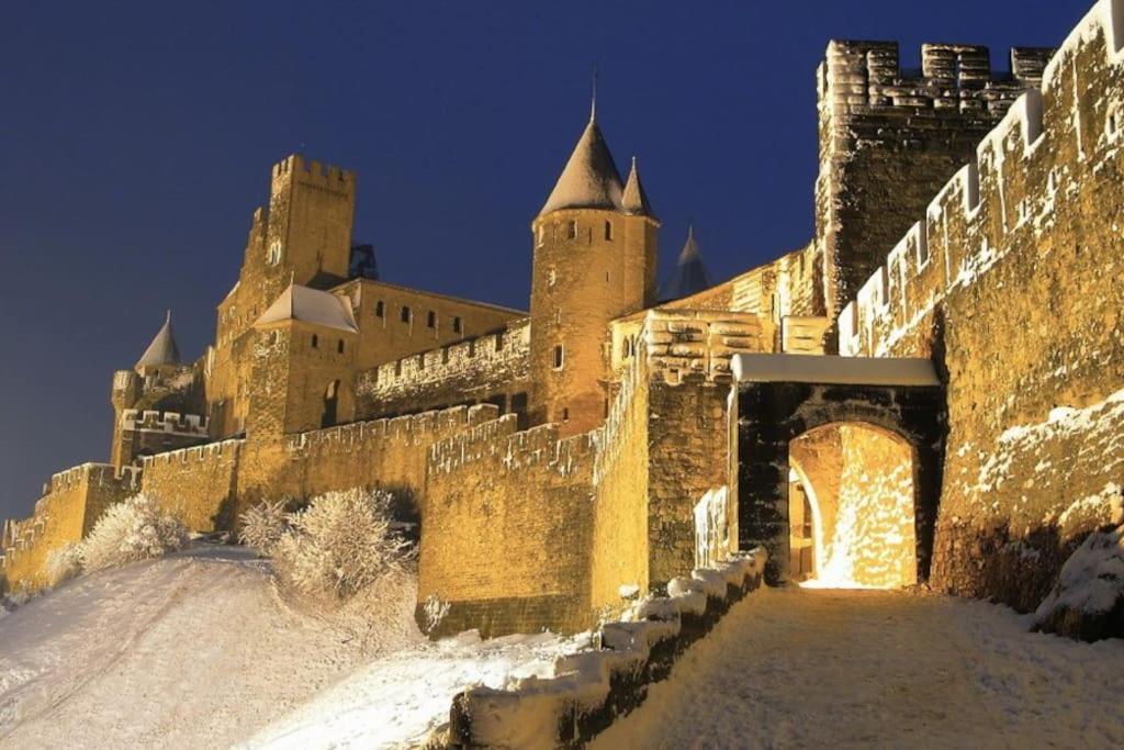 Petit Loft Cosy Lejlighed Carcassonne Eksteriør billede