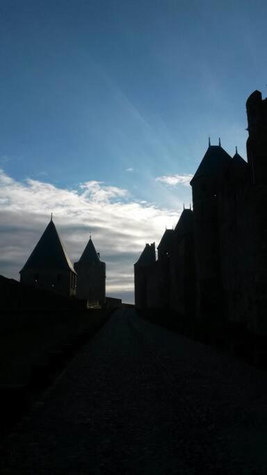 Petit Loft Cosy Lejlighed Carcassonne Eksteriør billede